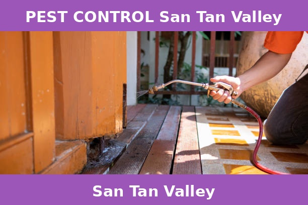 PEST CONTROL San Tan Valley